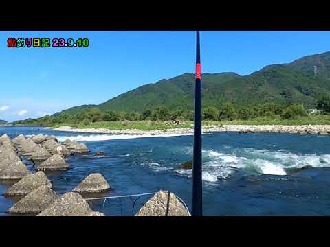 鮎釣り日記 23 9 10