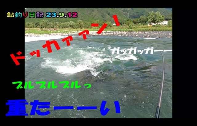 鮎釣り日記 23 9 12