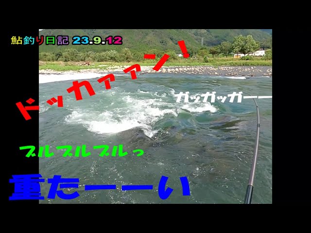 鮎釣り日記 23 9 12