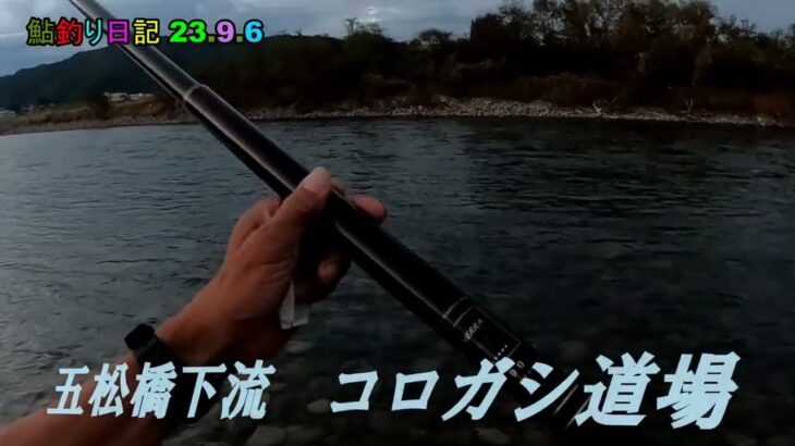 鮎釣り日記 23 9 6