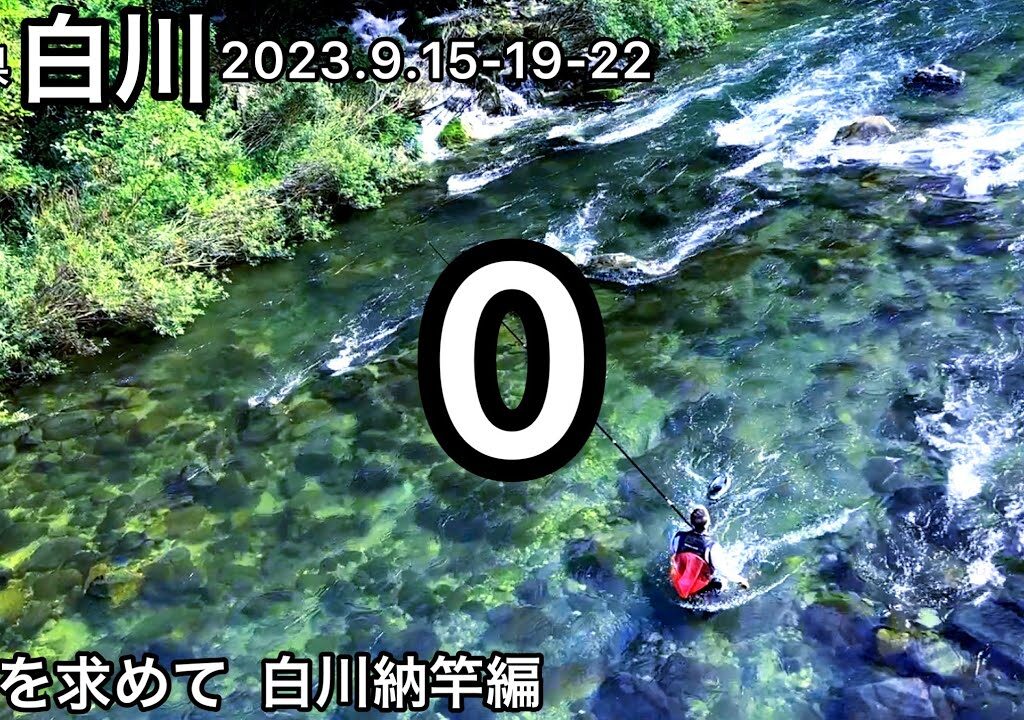 【鮎釣り】ごめんなさい🫠3連発ボウズで白川納竿です【友釣り】