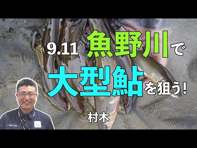 9月11日　魚野川で大型鮎を狙う！