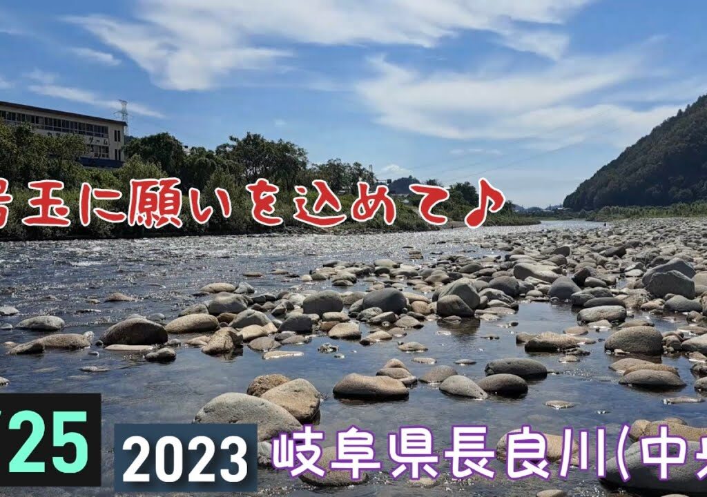 ４号玉に願いを込めて♪長良川(中央)　鮎釣り　9/25 2023