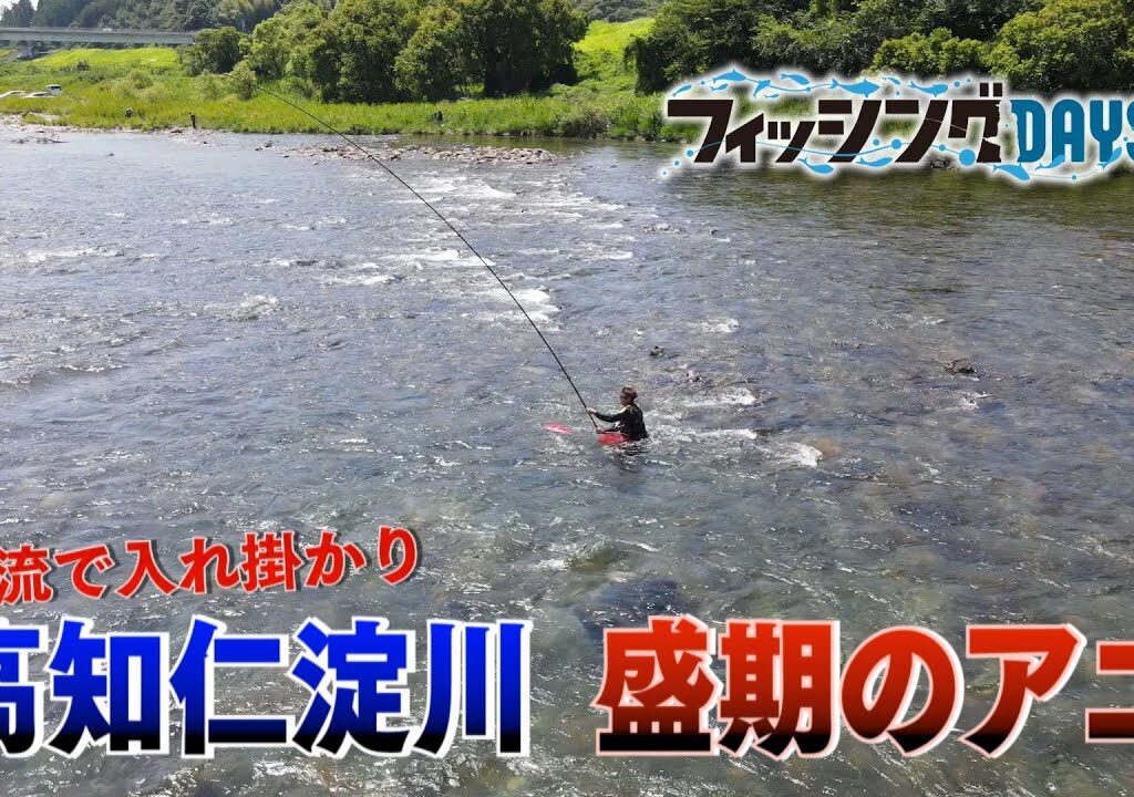 フィッシングDAYS「清流で入れ掛かり　高知仁淀川 盛期のアユ」