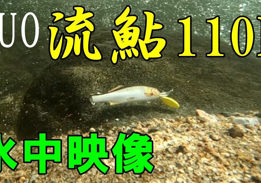 【水中映像】DUOの流鮎110Fでアユイングしてきました