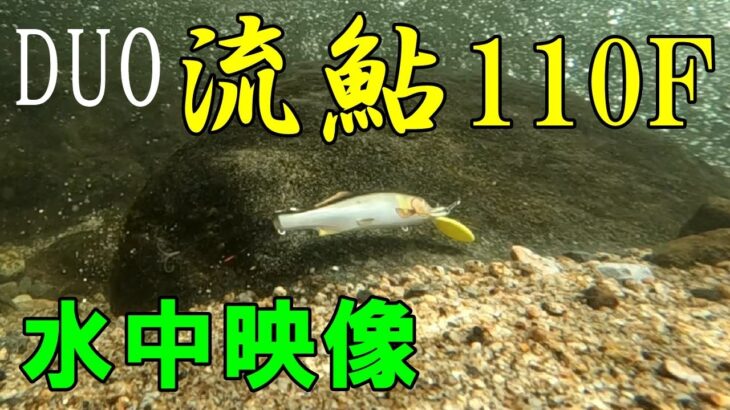 【水中映像】DUOの流鮎110Fでアユイングしてきました