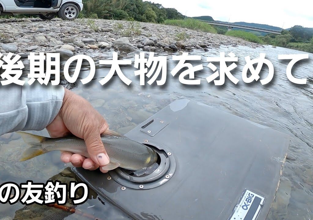 NO63 大物アユはやはりいた！　下流域で鮎の友釣り