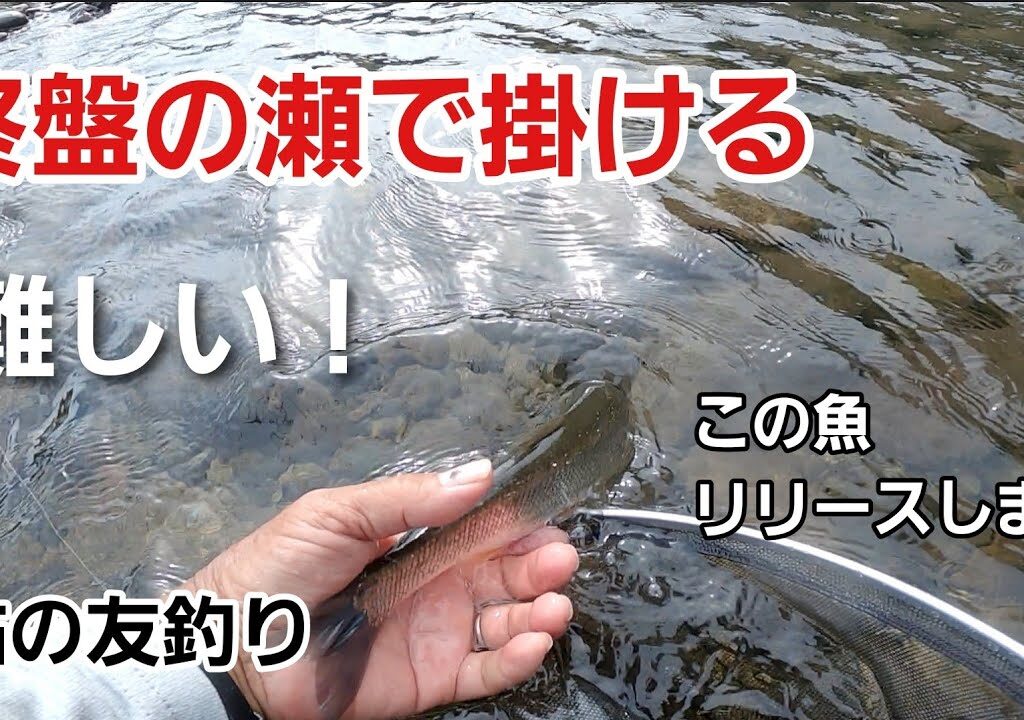 NO67 強烈なアタリがありましたが・・・なんやこれ！【鮎の友釣り】