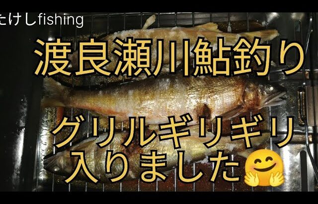 【鮎釣り】渡良瀬川　オトリ屋時間変更🧐２５～７cmの時期ですね🥳　オトリ扱い注意してね😵