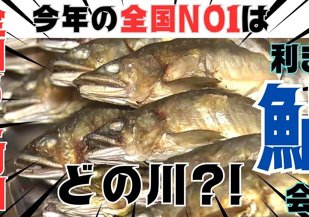 「アユ好き必見！日本一のアユは？全国のアユを食べ比べる「利き鮎会」に密着！」こうちeye2023/9/19放送