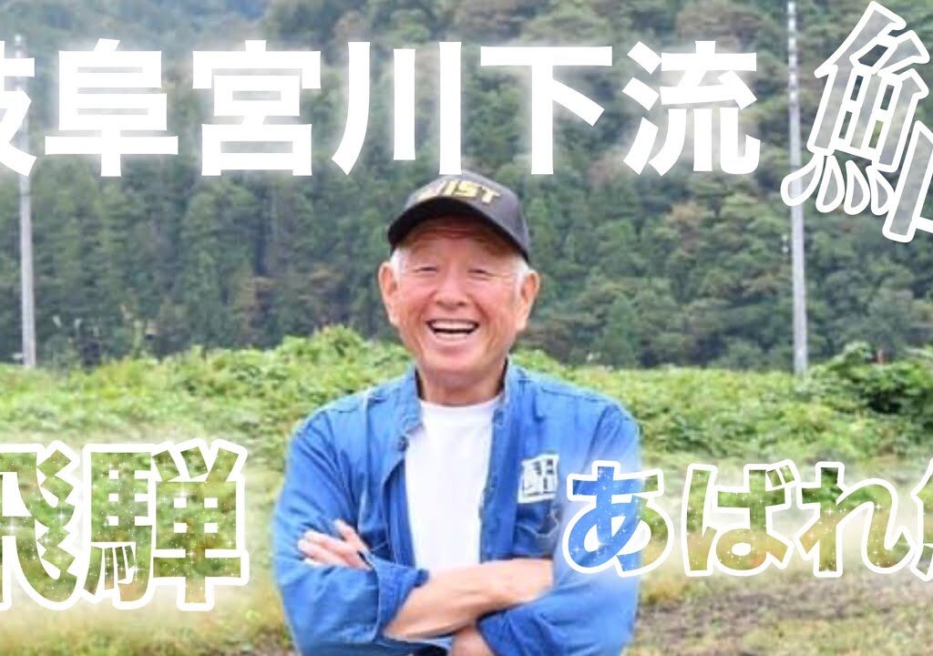 岐阜　宮川下流　あばれ鮎　爆釣　鮎釣り楽しい
