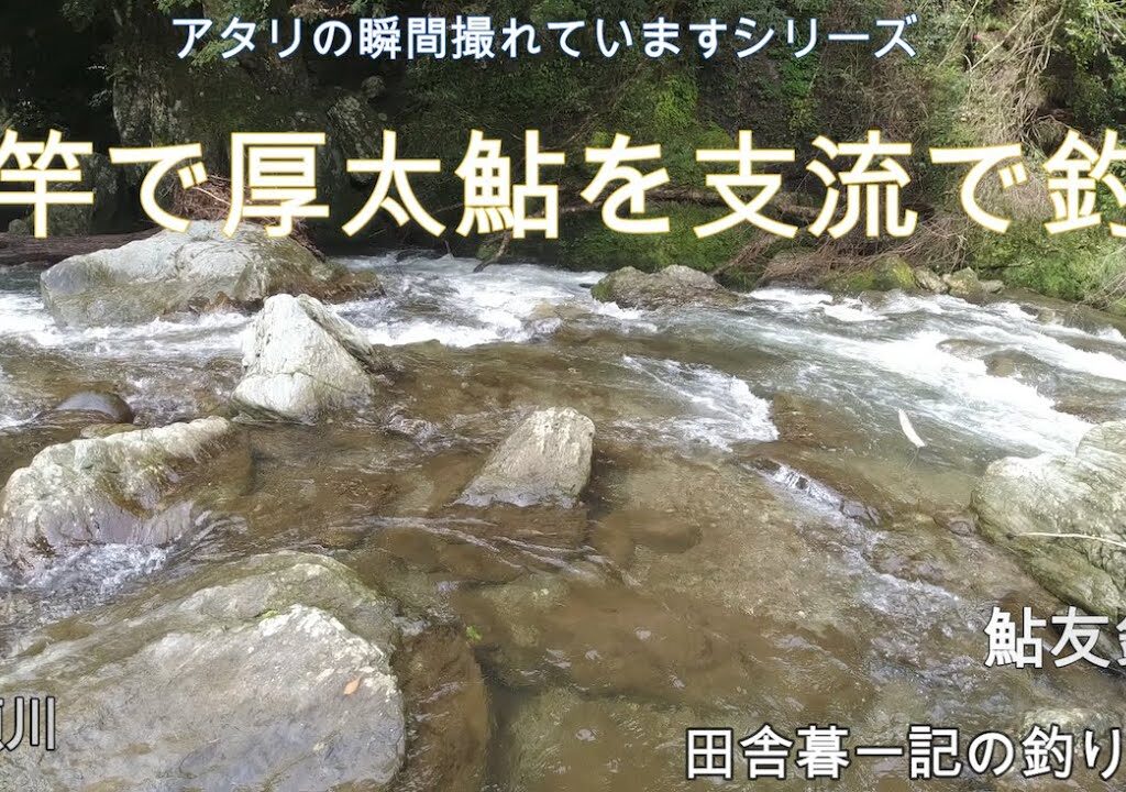 短竿で厚太鮎を支流で釣る！/ 田舎暮一記の釣り日記