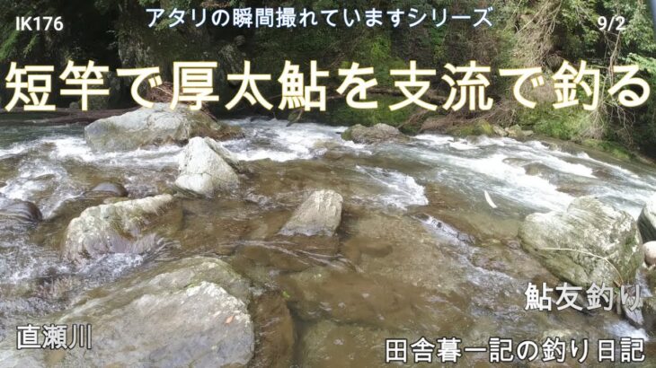 短竿で厚太鮎を支流で釣る！/ 田舎暮一記の釣り日記