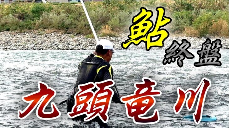 終盤の九頭竜川で天然俎上鮎と戯れる！！