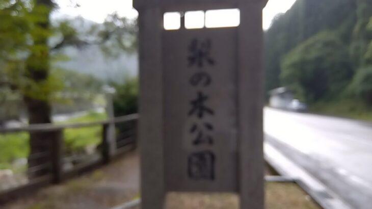 第十五回　鮎釣り　２０２３年　８月７日　和良川