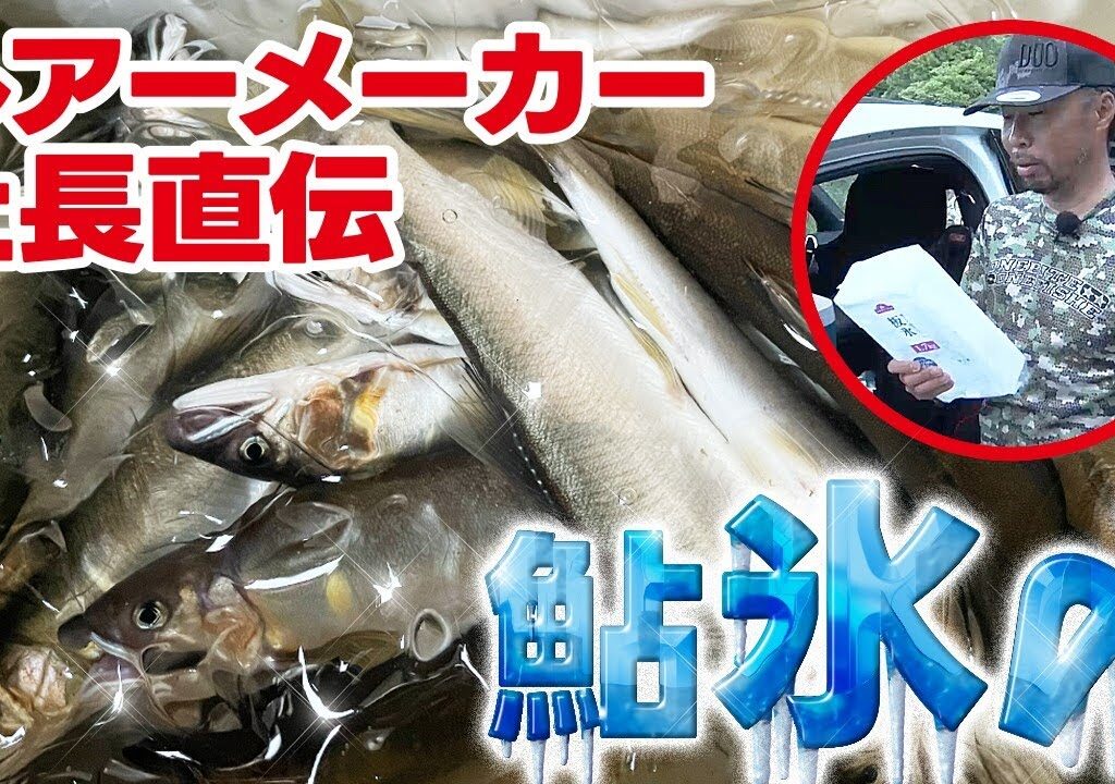 超カンタン！釣り場でできちゃう！【鮎氷〆講座】