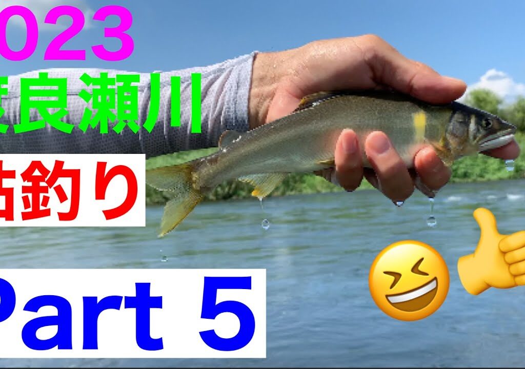 鮎釣り　柳の下の二匹目のドジョウ狙いです😅