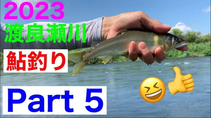 鮎釣り　柳の下の二匹目のドジョウ狙いです😅