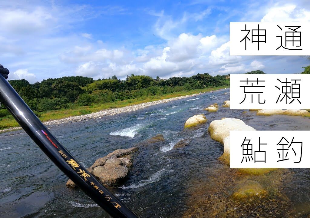 今年最後のアユ釣りは神通川の荒瀬でガツンと一発