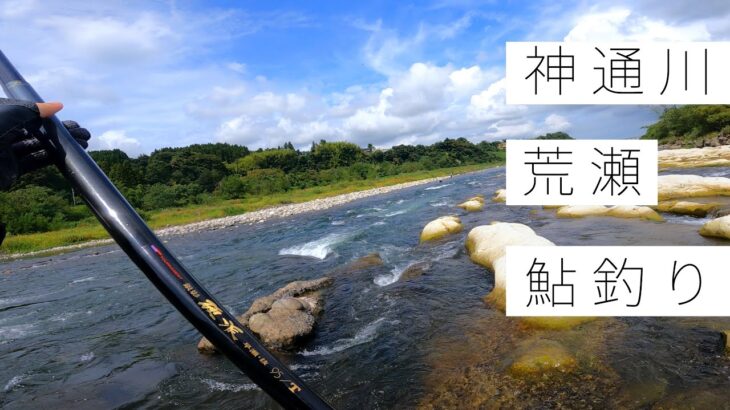 今年最後のアユ釣りは神通川の荒瀬でガツンと一発