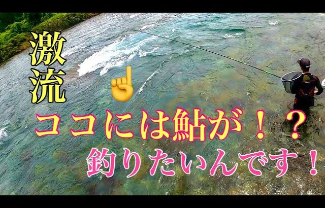 【鮎釣り】激流を制するは静水！？スペシャル仕掛けチャレンジ！
