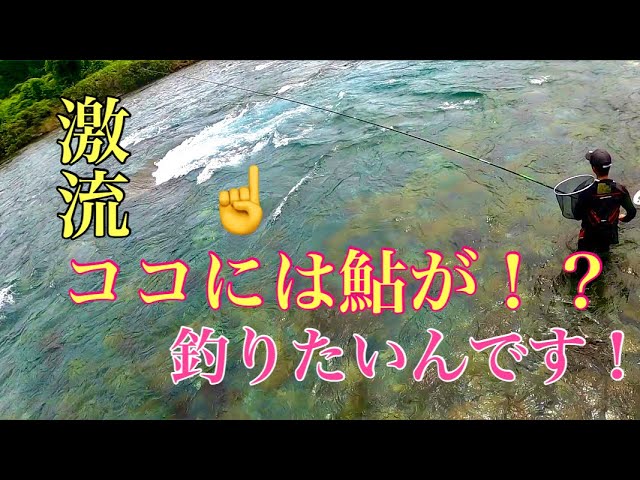 【鮎釣り】激流を制するは静水！？スペシャル仕掛けチャレンジ！