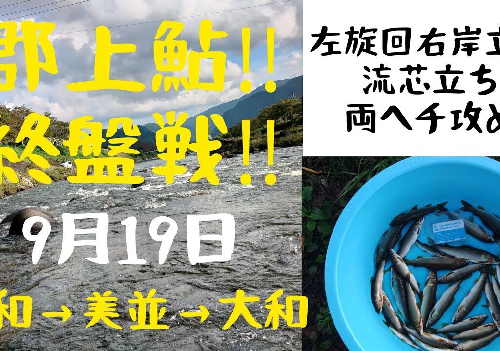 郡上鮎‼️終盤戦‼️左旋回右岸立ち‼️大和→美並→大和。最後はやっぱり杉ケ瀬だ‼️