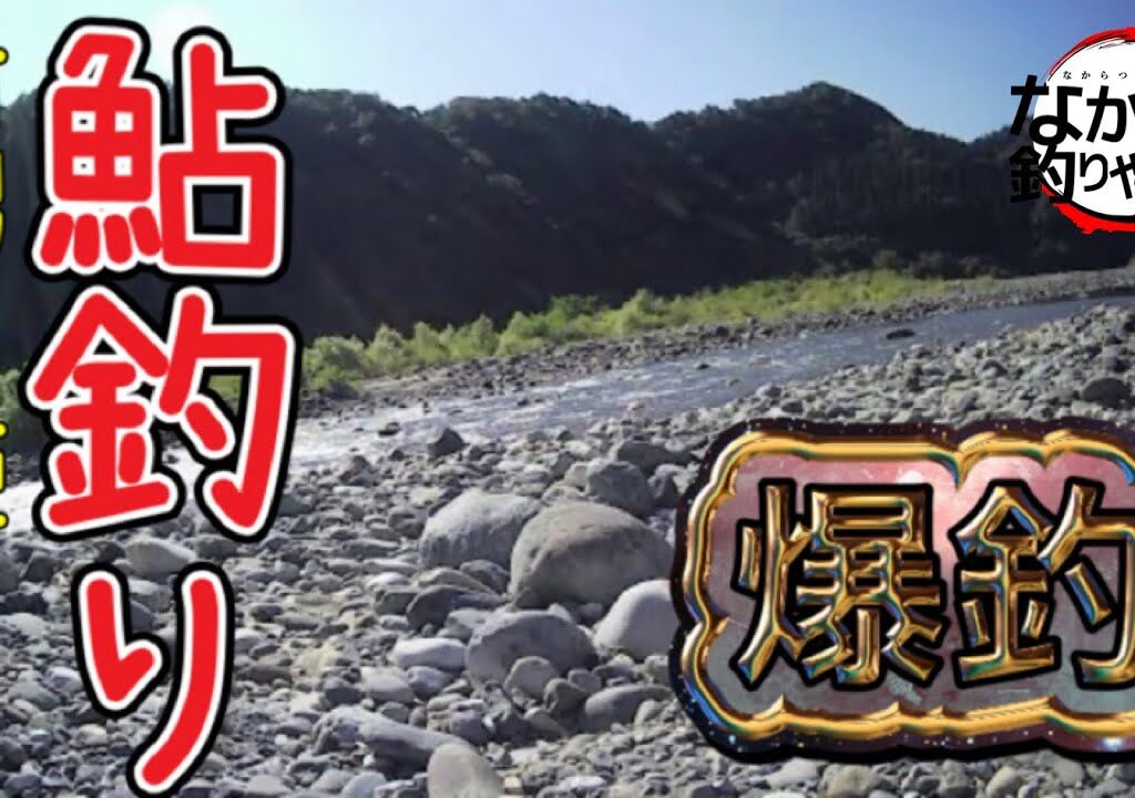 【新潟姫川】姫川で鮎釣りしたら爆釣でした。