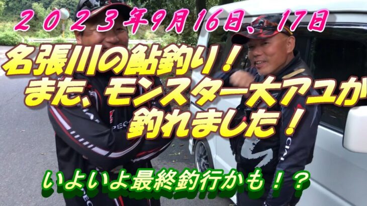 【名張川アユ釣り】またモンスター鮎が釣れました。＃鮎釣り＃名張川＃大アユ