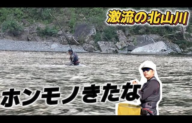 【鮎釣り】10/12 まだ竿締まっちゃダメやで〜！ここに来れば釣れるんだから♪in湯ノ口(北山川)