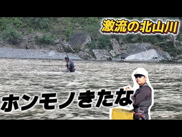 【鮎釣り】10/12 まだ竿締まっちゃダメやで〜！ここに来れば釣れるんだから♪in湯ノ口(北山川)