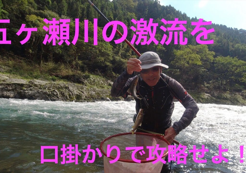 宮崎の鮎釣り＃11    五ヶ瀬川の激流を釣れ！