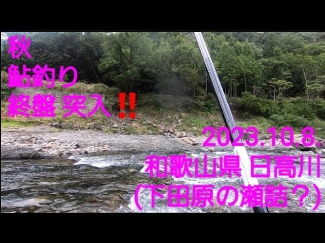 2023.10.8  和歌山県 日高川下流 アユ釣り@下田原の瀬詰め