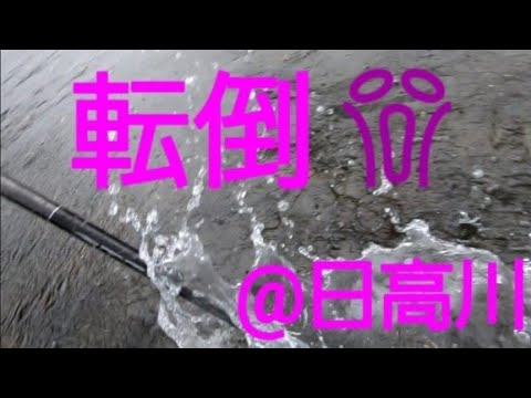 2023.10.8. 和歌山県 日高川下流地区 鮎釣り 痛い目に会いました。