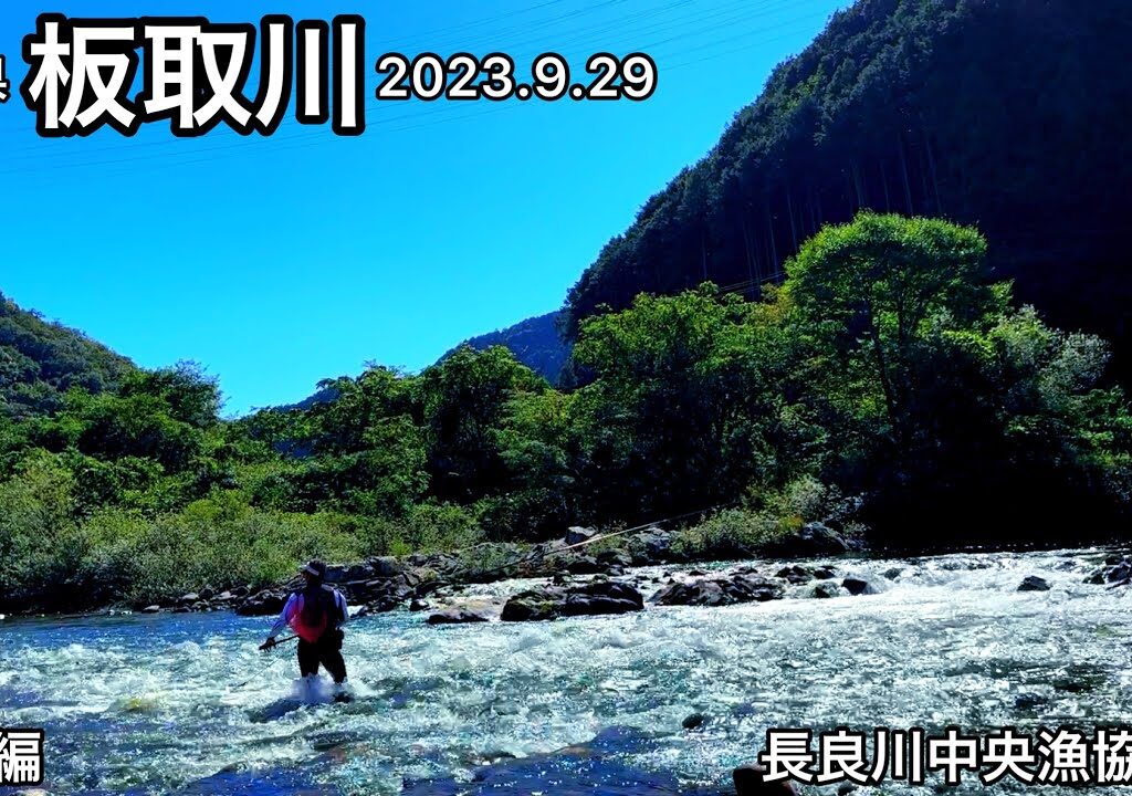 【鮎釣り】納竿編！板取川（長良川中央漁協管内）｜2023.9.29【友釣り】