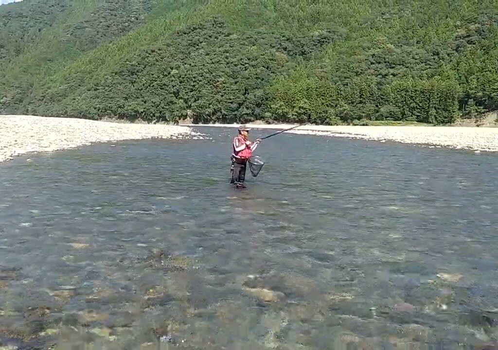 2023年10月 熊野川 鮎釣り