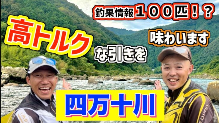 【鮎釣り2023】多い人で100匹！？そんなに釣れるなら行くっきゃないでしょ！四国遠征１日目