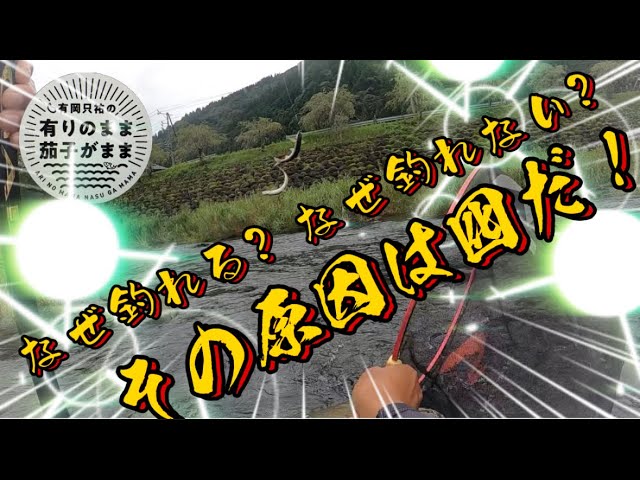 【鮎釣り】2023/8/24 ダイワ鮎マスターズ直前！