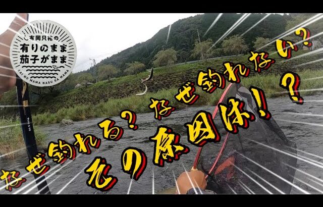 【鮎釣り】2023/8/25 ダイワ鮎マスターズ開催前日