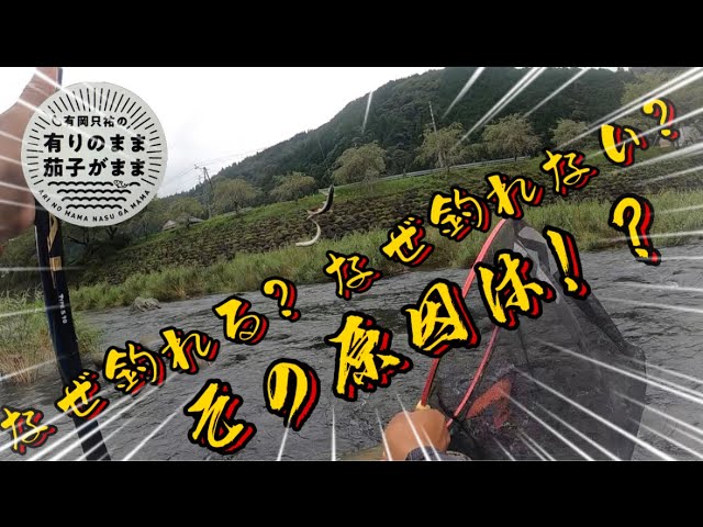 【鮎釣り】2023/8/25 ダイワ鮎マスターズ開催前日