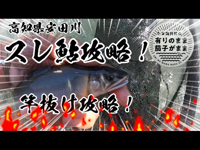 【鮎釣り】2023/8/〇〇　3名手が釣った後を釣る！