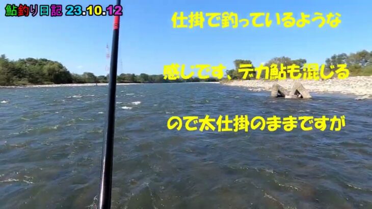 鮎釣り日記 23 10 12
