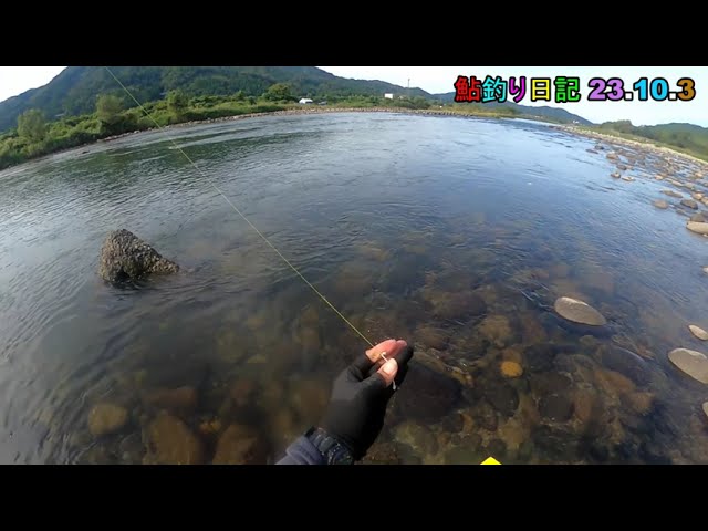 鮎釣り日記 23 10 3