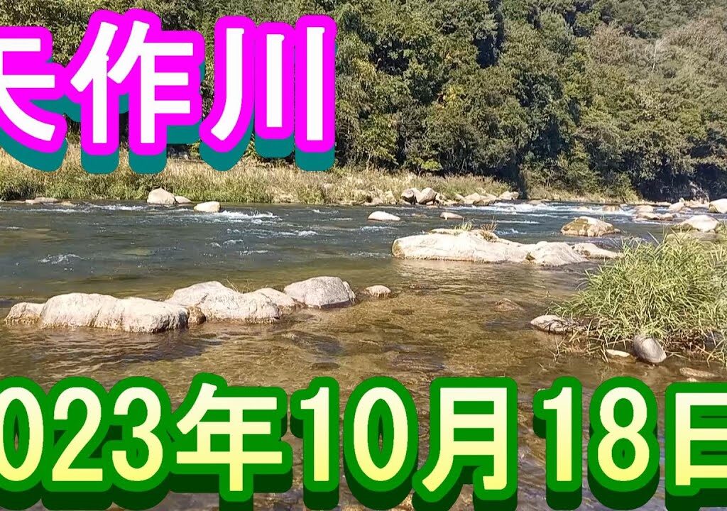 鮎釣り 5㎝高 池島 矢作川 2023年