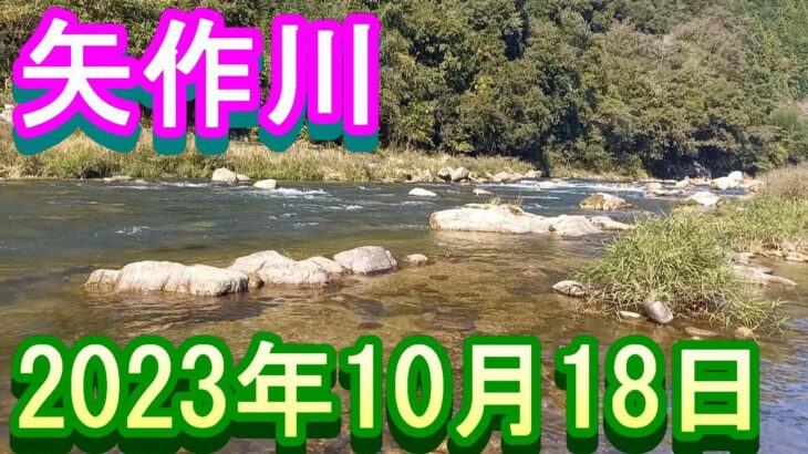 鮎釣り 5㎝高 池島 矢作川 2023年