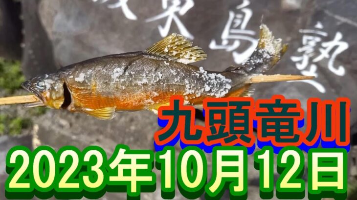 鮎釣り 5㎝高 笠川オトリ前 五松橋上 鳴鹿の堰堤下 九頭竜川 2023年