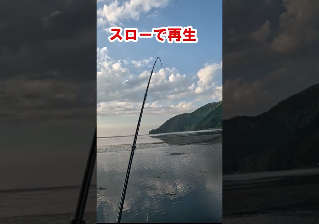 トップで出た！　Wフックのへドン社ダイイングフラッター(ダブルスイッシャー)一番好きな、トップのルアーです。#shorts