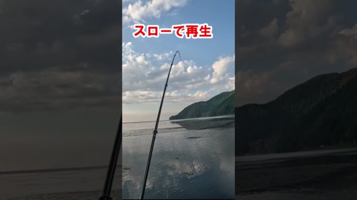 トップで出た！　Wフックのへドン社ダイイングフラッター(ダブルスイッシャー)一番好きな、トップのルアーです。#shorts