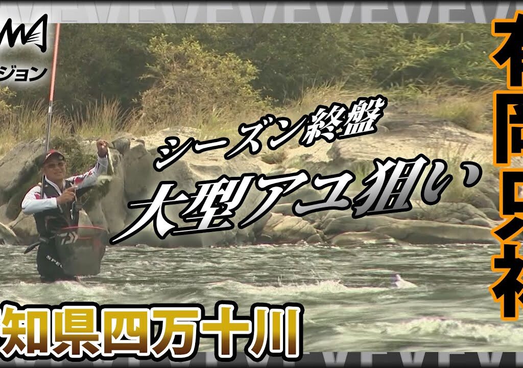 鮎！有岡只祐×四万十川の大型アユ オトリを循環させながらサイズを上げていくテクニックは必見！『YujiStyle』イントロver 【釣りビジョン】その②