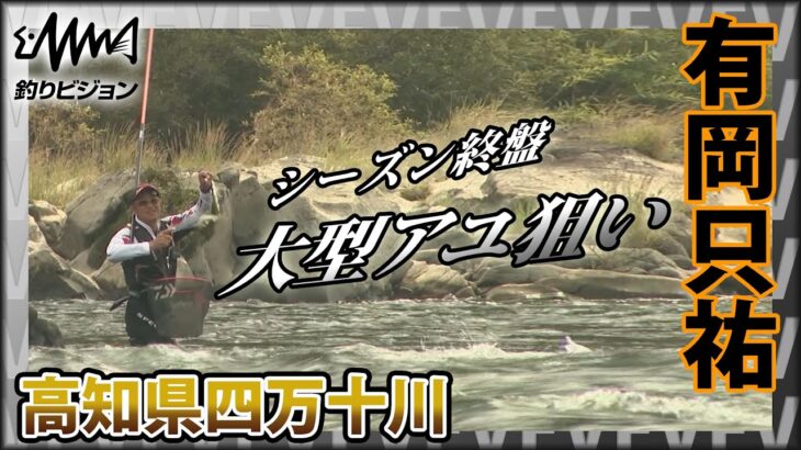 鮎！有岡只祐×四万十川の大型アユ オトリを循環させながらサイズを上げていくテクニックは必見！『YujiStyle』イントロver 【釣りビジョン】その②